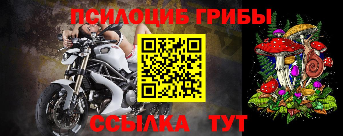 Сибай  Псилоцибиновые грибы мухоморы  Галлюциногенные грибы мицелий  Вход с VPN 
